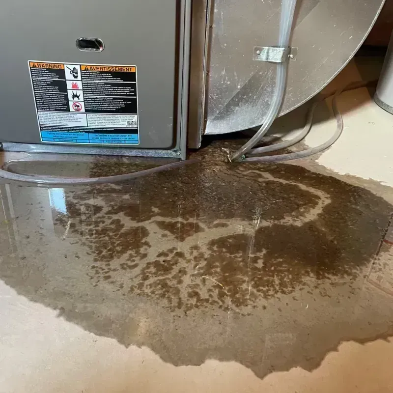 Appliance Leak Cleanup in Blythe, CA